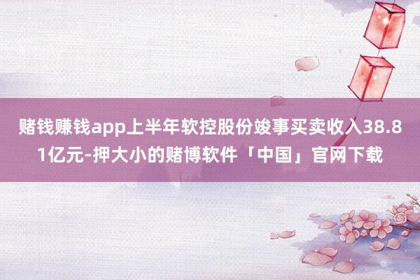 赌钱赚钱app上半年软控股份竣事买卖收入38.81亿元-押大小的赌博软件「中国」官网下载