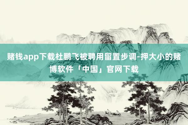 赌钱app下载杜鹏飞被聘用留置步调-押大小的赌博软件「中国」官网下载
